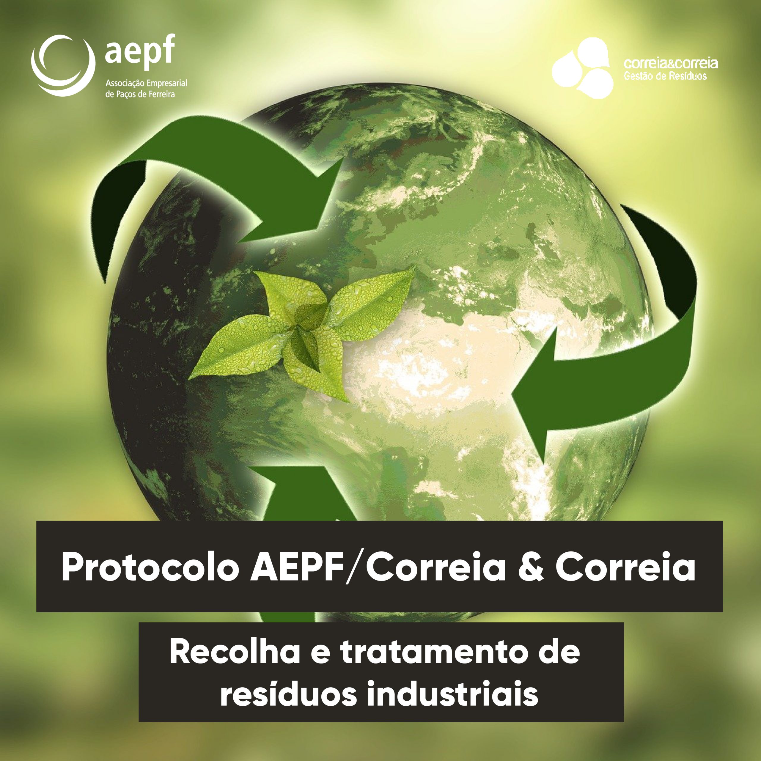 Protocolo AEPF/Correia & Correia